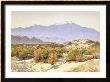 San Jacinto by Gunnar Widforss Limited Edition Pricing Art Print