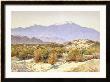 San Jacinto by Gunnar Widforss Limited Edition Print