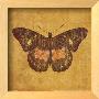 Ochre Butterfly by Katie Pertiet Limited Edition Pricing Art Print