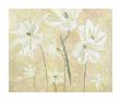 Narzissen Am Horizont by Ema Zahlmann Limited Edition Pricing Art Print