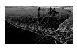 Surf 2, C.2009 by Nicolas Le Beuan Benic Limited Edition Pricing Art Print