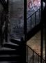 A Dark And Mysterious Looking Stairway With Graffiti And Fire Hose by Oote Boe Limited Edition Print