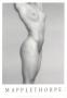 Lydia Cheng by Robert Mapplethorpe Limited Edition Print