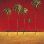 Red Palms by James White Limited Edition Pricing Art Print