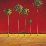 Red Palms by James White Limited Edition Pricing Art Print