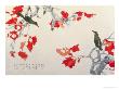 Colorful Bird by Hsi-Tsun Chang Limited Edition Print