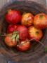 Pomegranates In A Terracotta Bowl by David Loftus Limited Edition Print