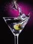 Spirit Of The Martini by Paul Katz Limited Edition Print