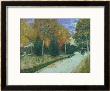 Path In The Park At Arles, C.1888 by Vincent Van Gogh Limited Edition Pricing Art Print