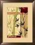 Meditative Bamboo I by Jennifer Goldberger Limited Edition Print