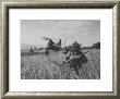 Men Of The Us Army 25Th Infantry Division During Jungle Training by Nat Farbman Limited Edition Pricing Art Print