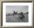 Men Of The Us Army 25Th Infantry Division During Jungle Training by Nat Farbman Limited Edition Print