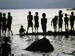 Playing Children Silhouetted Against Water, Malala, Papua New Guinea by Jerry Galea Limited Edition Print