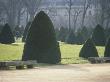 Sculpted Trees Dot A Public Park In Paris by Stephen Sharnoff Limited Edition Pricing Art Print