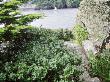 Seaside Garden, View Along Garden Path To Sea Headland Garden, Corwall, Uk by Mark Bolton Limited Edition Print