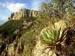 Landscape, Coahuila, Mexico by Patricio Robles Gil Limited Edition Print