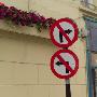 Ireland, Traffic Signs On Street by Keith Levit Limited Edition Print