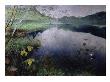 From Daelivannet (Oil On Canvas) by Hjalmer Eilif Emanuel Peterssen Limited Edition Print