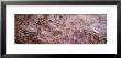 Pictograph On A Rock, Baja California, Mexico, Usa by Panoramic Images Limited Edition Print