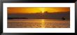 Reflection Of Sun In Water, Everglades National Park, Miami, Florida, Usa by Panoramic Images Limited Edition Print