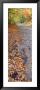 Autumn Leaves On A Road, Leland, Michigan, Usa by Panoramic Images Limited Edition Print