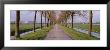Holland, Meddembeemster, View Of A Tree Lined Lane With Canals by Panoramic Images Limited Edition Print
