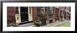 Potted Plants Outside A House, Acorn Street, Beacon Hill, Boston, Massachusetts, Usa by Panoramic Images Limited Edition Pricing Art Print