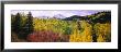 Trees On A Landscape, San Juan Mountains, Colorado, Usa by Panoramic Images Limited Edition Pricing Art Print