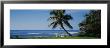 Two Adirondack Chairs On The Beach, Kaneohe Bay, Oahu, Hawaii Islands, Usa by Panoramic Images Limited Edition Print