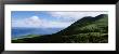 Trees On A Landscape, Mt. Aso, Kumamoto Prefecture, Kyushu, Japan by Panoramic Images Limited Edition Print