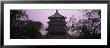 High Section View Of A Palace, Summer Palace, Beijing, China by Panoramic Images Limited Edition Pricing Art Print