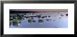 Stones In Frozen Water, Flamborough, Yorkshire, England, United Kingdom by Panoramic Images Limited Edition Pricing Art Print