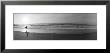 Surfer, San Diego, California, Usa by Panoramic Images Limited Edition Print