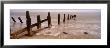 Posts On The Beach, Spurn, Yorkshire, England, United Kingdom by Panoramic Images Limited Edition Print