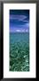 Clouds Over The Sea, Tahaa, French Polynesia by Panoramic Images Limited Edition Print
