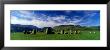 Sheep's Grazing In A Pasture, Castlerigg Stone Circle, Keswick, Lake District, Cumbria, England, Uk by Panoramic Images Limited Edition Print