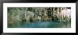 Swimmers In Cenote Dzitnup, Yucatan, Mexico by Panoramic Images Limited Edition Pricing Art Print