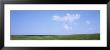 Panoramic View Of Cornfields, Iowa, Usa by Panoramic Images Limited Edition Pricing Art Print