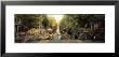 Bicycles On Bridge Over Canal, Amsterdam, Netherlands by Panoramic Images Limited Edition Print