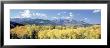 Uncompahgre National Forest, Colorado, Usa by Panoramic Images Limited Edition Pricing Art Print