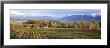 Farm, Rapperswil, Zurich, Switzerland by Panoramic Images Limited Edition Print