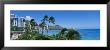 Palm Trees On The Beach, Waikiki Beach, Honolulu, Oahu, Hawaii, Usa by Panoramic Images Limited Edition Pricing Art Print