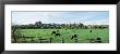 Arundel Skyline, West Sussex, England, United Kingdom by Panoramic Images Limited Edition Print