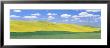 Fields Of Barley, Lentils, And Canola, Whitman County, Washington State, Usa by Panoramic Images Limited Edition Print