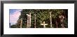 Totems, Stanley Park, Vancouver, Canada by Panoramic Images Limited Edition Print
