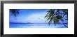 Ocean, Island, Water, Palm Trees, Maldives by Panoramic Images Limited Edition Pricing Art Print