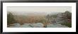 High Angle View Of A Forest, Shawnee Forest, Illinois, Usa by Panoramic Images Limited Edition Print