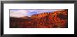 Capitol Reef National Park, Utah, Usa by Panoramic Images Limited Edition Print