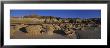 Rock Formations On A Landscape, Bisti Badlands, New Mexico, Usa by Panoramic Images Limited Edition Print