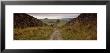 Long Pathway On A Landscape, Smearsett Scar, Yorkshire, England, United Kingdom by Panoramic Images Limited Edition Print